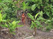 Photos-vidéo:Nouvelle tribu découverte Amazonie