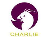 Qu’est qu’on brunch chez Charlie Birdy