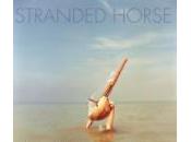 Stranded Horse Humbling Tides