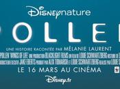Pollen nouveau film Disney premier extrait