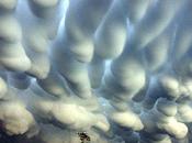 Mammatus