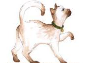 Pris flagrant délit... février 2011