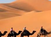 Printemps dans désert marocain