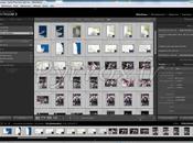 Astuce fusionner catalogues dans Ligthroom