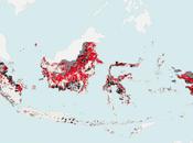 Indonésie projet moratoire déforestation insuffisant