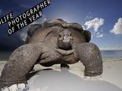 Wildlife Photographer Year, l'expo préférée amoureux nature animaux!