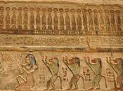 Salle vitrine singes familiers babouins temple ptolémaïque d'hathor deir el-médineh