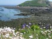 Escapade finistérienne dans l’archipel Glénan