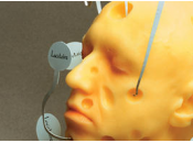 Faut-il manger chair humaine