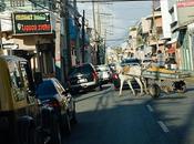 retour Santo-Domingo