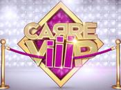 Carré Viiip l'after présentée Elsa Fayer