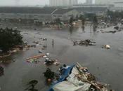 Séisme Japon Hommage Festival Film Asiatique Deauville