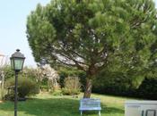 douceur.... mars 2011