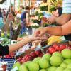 Bons plans pour acheter fruits légumes chers
