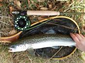 Winner’s trout/truite gagnant
