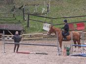 centre équestre Galop SANNOIS