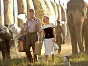 News Water Elephants