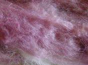 Mélange fibres belle laine