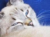 week plein bulles avec SCHINA