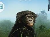 Partez l'aventure avec bonobos