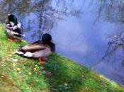 Flânerie chez frères Caillebotte