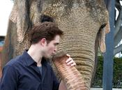 Pics Robert Pattinson press conference Water Elephants