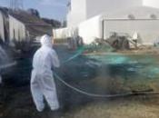 Fukushima l’eau radioactive toujours rejetée