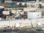 Fukushima, fuite d'eau radioactive dans l'océan colmatée