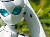 March 2011 Drossel Flowers