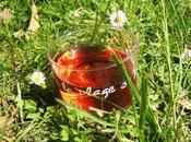 Moments partagés avec l'Indispensable