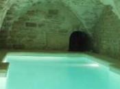 Paris appartement avec piscine dans crypte gothique coeur marais