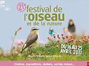 Festival l'oiseau nature
