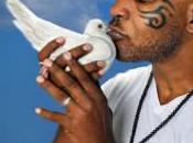 Mike Tyson aime vraiment pigeons