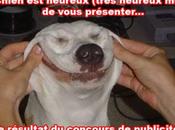 Concours publicité jeux vidéo résultats