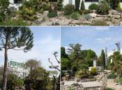 pépinière Corme-Royal, avril 2011