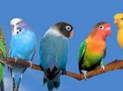 Huit blogs pour comprendre mutations livre marché