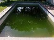 Veeeeeeeeeeeeeeeeeeeeeeeeeeeeeeeert...