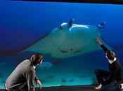 quand nature guide technologie...