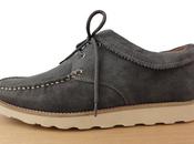 Pointer 2011 saha trek