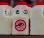 histoire d'amour entre deux bouteilles lait