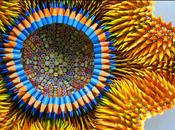 très piquante Jennifer Maestre...