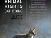 International Animal rights Gathering 2011