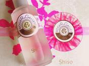 Shiso parfum sent propre