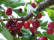 Bien dans chaussons...