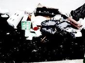 ordures polluent débat Conseil Quartier