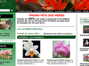 orchidées encore, 2011