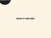 Arctic Monkeys Suck [New Album]