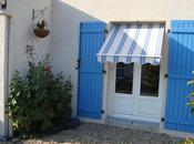 roses trémières, 2011