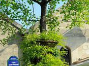 Rendez-vous britannique Bercy Village