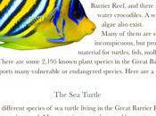 [iTunes] iWork Disponible iPhone iPod Touch